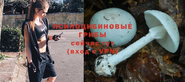 кокс Баксан