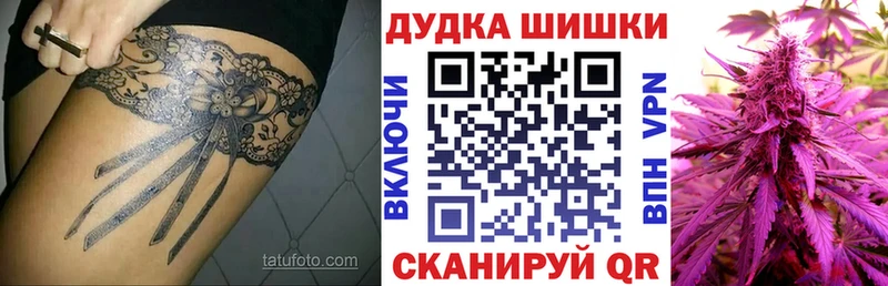 Купить  Яхрома  Бошки Шишки ГИДРОПОН 